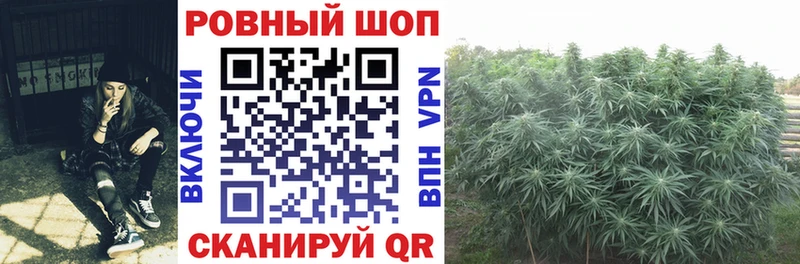 Продажа наркотиков Краснозаводск Марихуана  Меф мяу мяу  Бутират  СК  ГАШИШ  COCAIN 